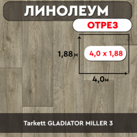 линнн