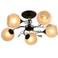 Светильник 65857.01.13.05