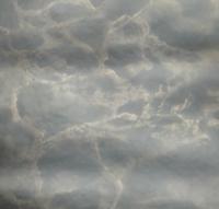 Пленка самоклеящаяся 0,45 8 м 5208-1 MAXIFIX