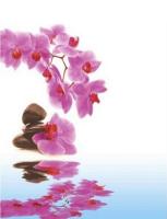 Штора для ванной 180 180см Орхидея,без колец  Zalel