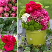 Клеенка Grace ткань с пвх покрытием 1,37 20м ST1055