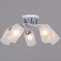 Люстра потолочная 06108-0.3-05  WH+CR