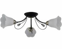 Люстра потолочная IL0040-3CSQ-79 BK AB