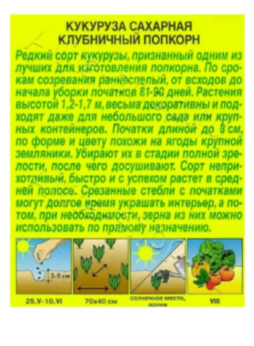 2026-08-28_12-32-35