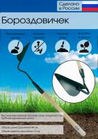 .Бороздовичок малый с черенком