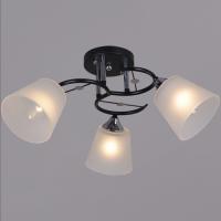 Люстра потолочная 06116-0.3-03  BK+CR