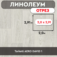 .линолеум Tarkett AERO DAVID 1 ОТРЕЗ 2м 2,91м