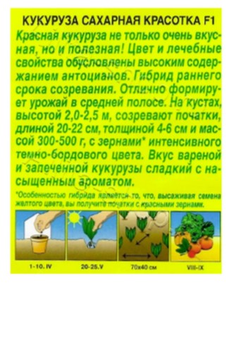 2026-08-28_12-36-01