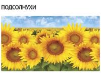Фартук ПВХ Подсолнухи 473 (0,6м 3м 1,3мм)
