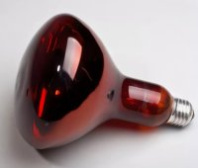 Лампа накаливания инфракрасная зеркальная ИКЗК 250вт ЗК 220-250 E27 красная (гофра)