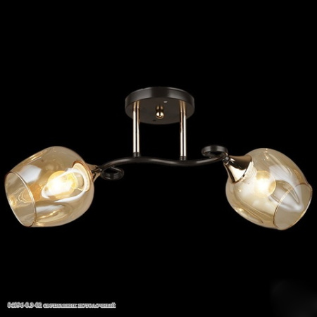 Светильник потолочный 04096-0.3-02