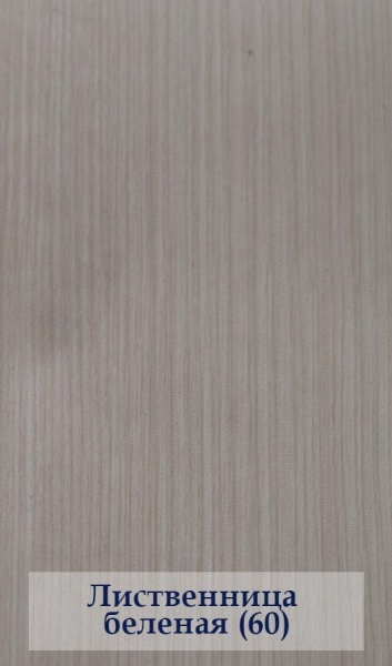 листв белен 60