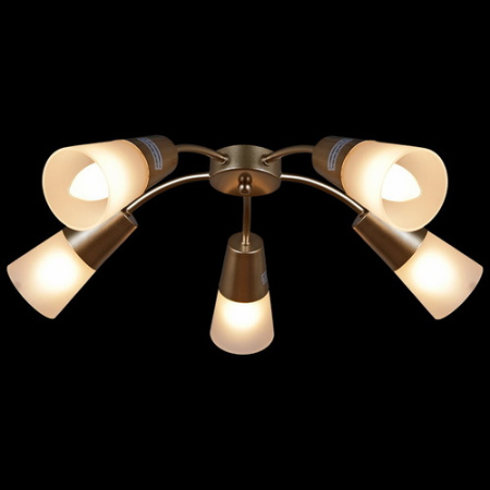 Люстра потолочная 01266-0.3-05B GOLD