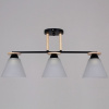 ,Люстра потолочная 11630-0,3-03 BK+WOOD