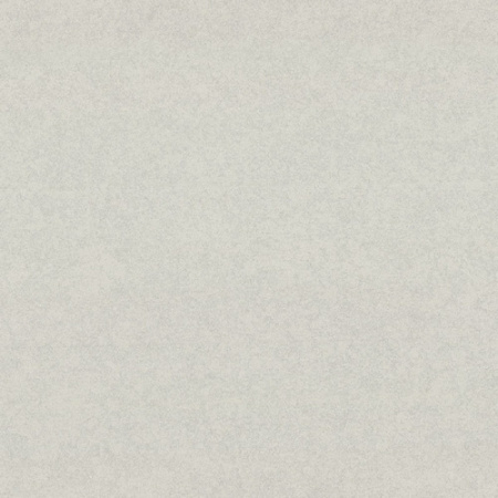 Обои ГТ на флизе 9256-11 Era фон 1,06 10м EURO DECOR(6)
