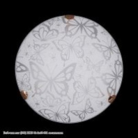 Светильник настенно-потолочный Бабочки матов. (250) НПБ 01-2*60-001
