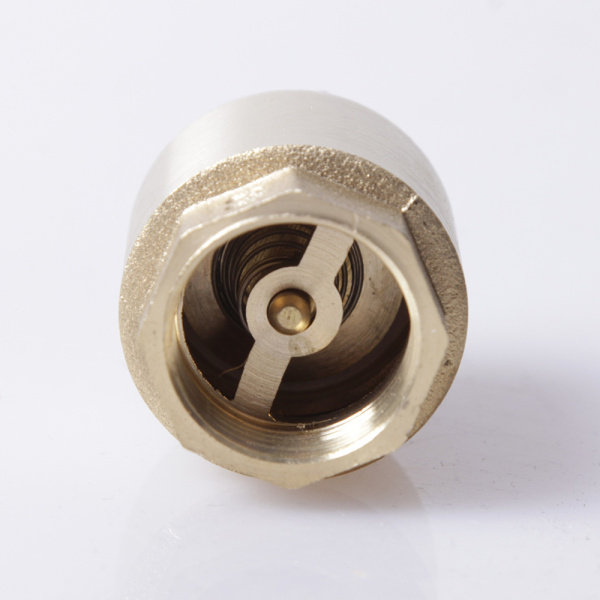 Обратный клапан 1