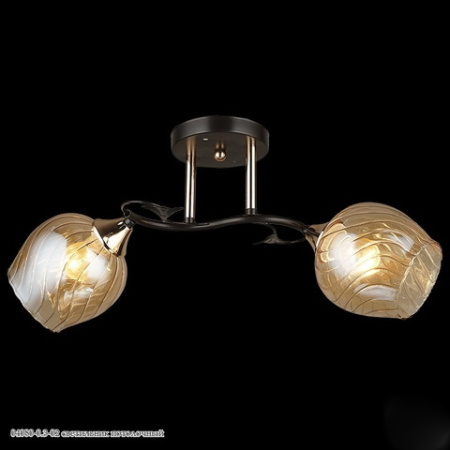 Светильник потолочный 04080-0.3-02