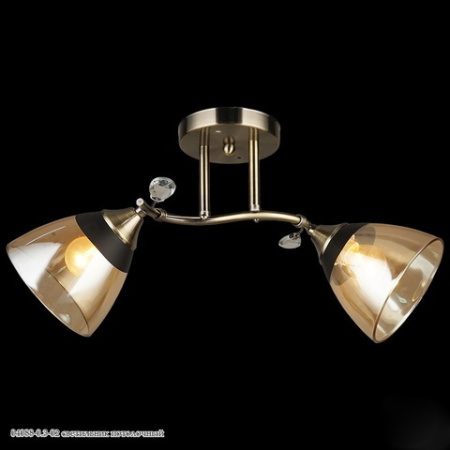 Светильник потолочный 04088-0.3-02