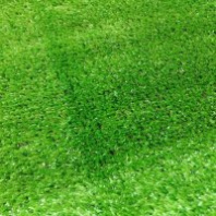 Искусственная трава 10 мм 1м