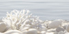 Декор DEL MARE  DWU09DLM624 249 500
